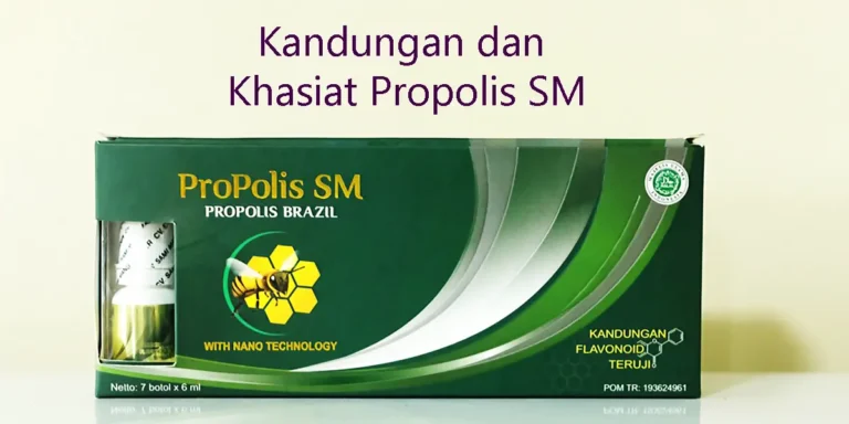 khasiat dan kandungan propolis sm