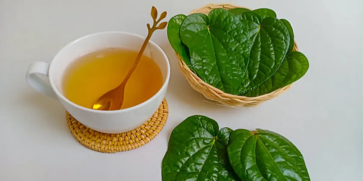 manfaat daun sirih
