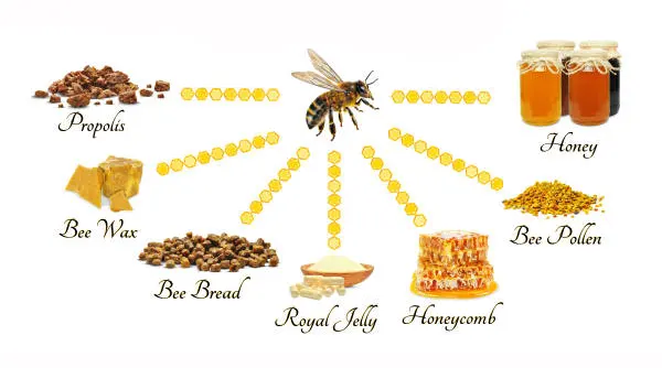propolis