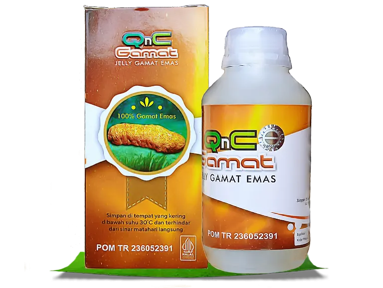 ilustrasi gambar qnc jelly gamat original