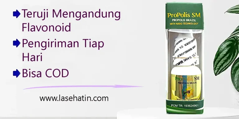 agen propolis sm mataram lombok dan kupang