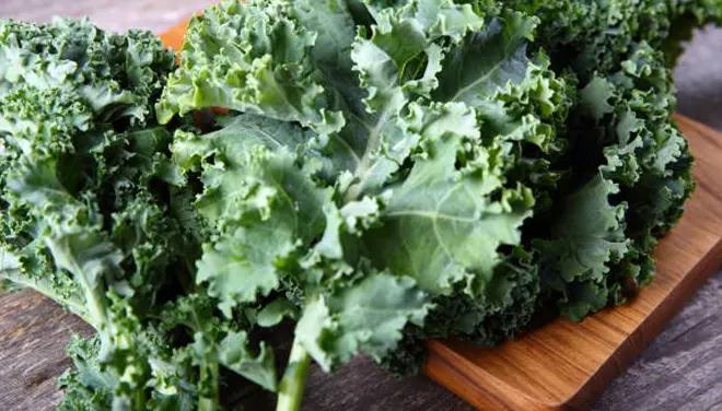 Kale, sayuran hijau kaya zat besi yang mendukung kesehatan saat haid