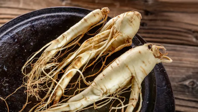 Ginseng sangat baik untuk gejala asma