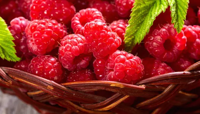 Raspberry, buah antioksidan, serat, dan vitamin C dengan manfaat memperbaiki siklus haid